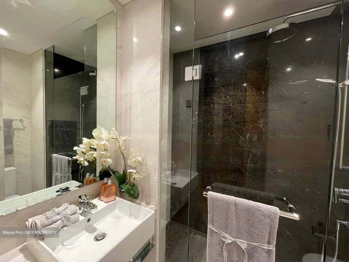 St. Regis Residences (D10), Apartment #507675411